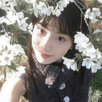 蓼云仙
